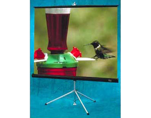 Draper Diplomat/R - AV Format Portable Projector Screen - Fast FREE FedEx Shipping!