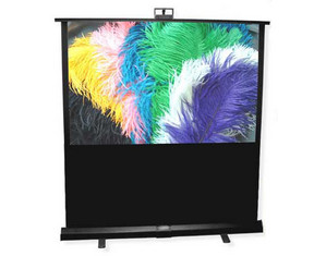 Draper Piper - Video Format Portable Projector Screen