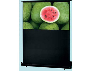 Draper Road Warrior - NTSC Format Portable Projector Screen
