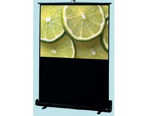 Draper Traveler - Video Format Portable Projector Screen