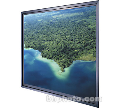 Da-Lite_Da_Plex_Unframed_HDTV_Format_Rear_Projector_Screen.jpg