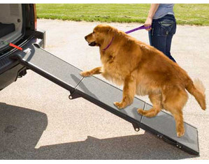 Pet Gear Tri Fold Portable Ramp - Fast FREE FedEx Shipping!