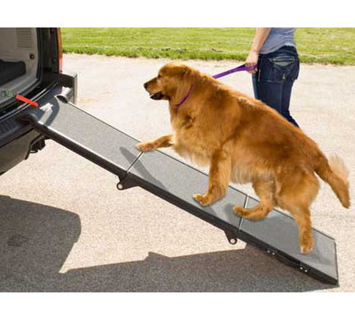 Pet_Gear_Tri_Fold_Portable_Suitcase_Pet_Ramp.jpg