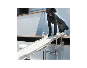 Petstep 222 Multipurpose Ramp - Fast FREE FedEx Shipping!