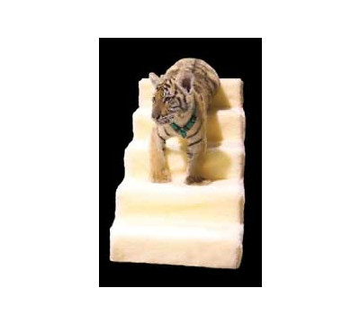 PetStairz_5_Step_Foam_Indoor_Pet_Ramp.jpg