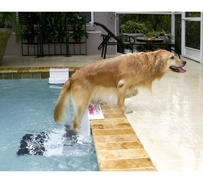 PoolPup_XL_Pet_Safety_Ramp_Pet_Boat_Ladder.jpg