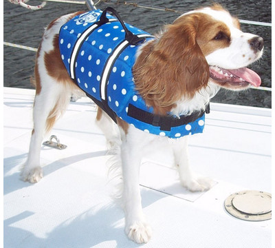 Paws_Aboard_Blue_Polka_Dot_Designer_Doggy_Life_Jacket_Pet_Ramp_Accessory.jpg