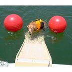 Free Shipping  Pet Ramp Accessories