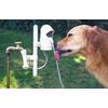 Save  on Water Dog Automatic Outdoor at The Drinking Fountain Superstore