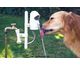 contech-water-dog-automatic-outdoor-pet-drinking-fountain_21_80x65.jpg