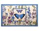 Butterfly Meadow