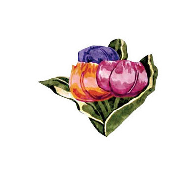 Tulip