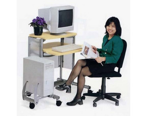 Anthro 24 inch Standard Unit Package with CPU Rack Computer Cart