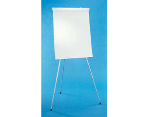 Testrite Telescopic Flipchart Display Easel