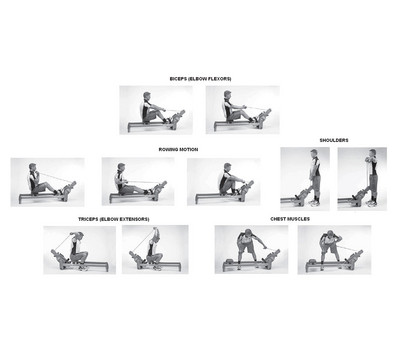 Strength Exercises