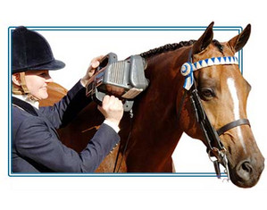 Thumper Equine Pro Handheld Massager