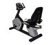 Recumbent Bikes 