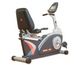 Recumbent Bikes 