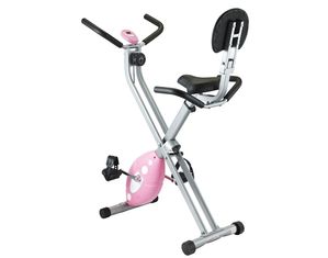 Sunny Health and Fitness Folding Recumbent Bike