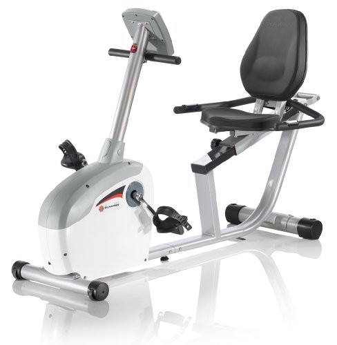 Schwinn 220 Recumbent Bike image