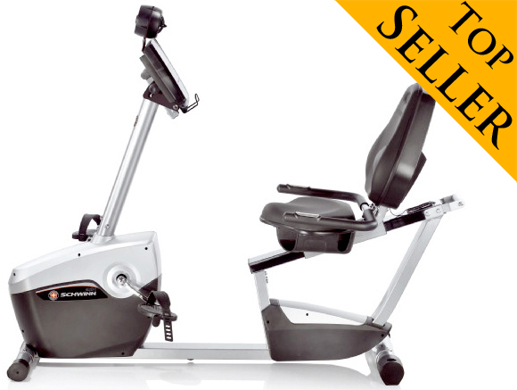 Schwinn 231 Recumbent Bike image