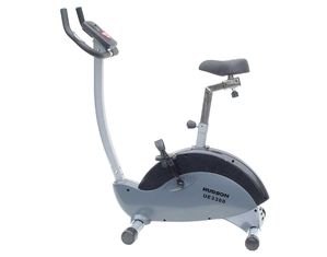 Hudson Upright Exercise Bike UE 3300