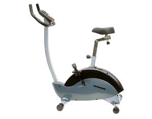 Hudson Upright Exercise Bike UE 3300BD