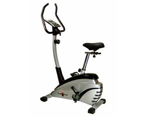 Phoenix Mag Trac Upright Bike