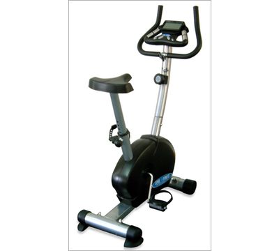 Phoenix Upright Magnetic Bike