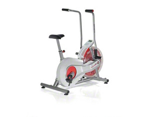 Schwinn Airdyne AD2 Upright Bike