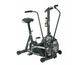 Upright Bikes 