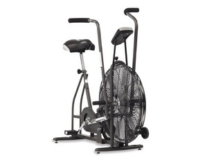 Schwinn Airdyne Bike