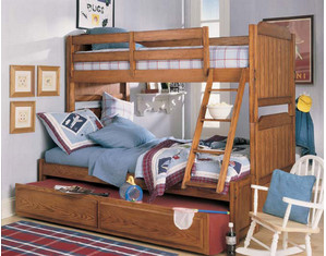 Lea Industries Jackson Creek Ladder and Guard Rails - Fast FREE FedEx Shipping!