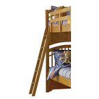 Pulaski-bearrific-guard-rails-and-ladder 0 145x145.jpg
