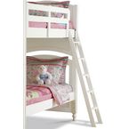 Pulaski-pawsitively-yours-guard-rails-and-ladder 0 145x145.jpg