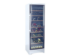 Summit 120-Bottle Silver Wine Refrigerator