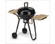 Charcoal Grills 