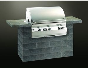 Fire Magic Aurora A540i Grill with Rotisserie Backburner