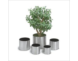 Blomus Greens Stainless Steel Planter