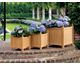 Planters 