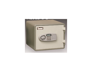 Gardall MS129 One Hour Microwave Fire Safe