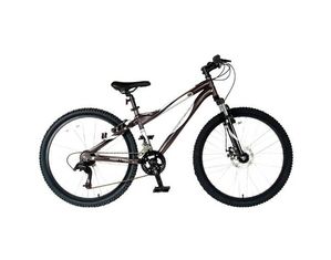 Victory Vision 8-Ball Bicycle