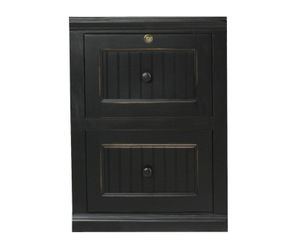 Eagle Painted Coastal 2-Drawer File Cabinet