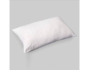 Southern Textiles Micro Latex Pillow in Zippered Bag