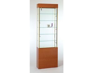 Tecno Dust Resistant Rectangular Wall Display Case GL102