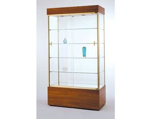 Tecno Large Merchandiser Glass Rectangular Wall Case GL105-48