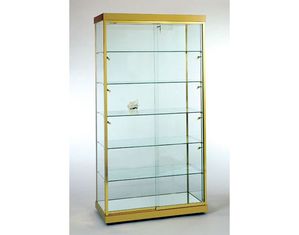 Tecno Display Medium Spacious Glass Rectangular Wall Case GL5-40 inch