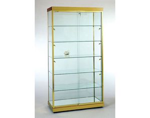 Tecno Display Medium Spacious Glass Rectangular Wall Case GL5-48 inch