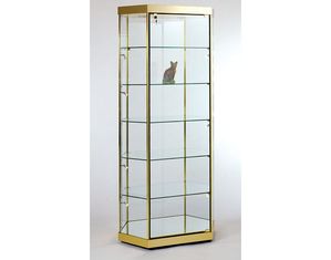 Tecno Display Stretched Hexagonal Glass Tower Display Case GL4