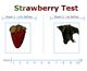Strawberry Test